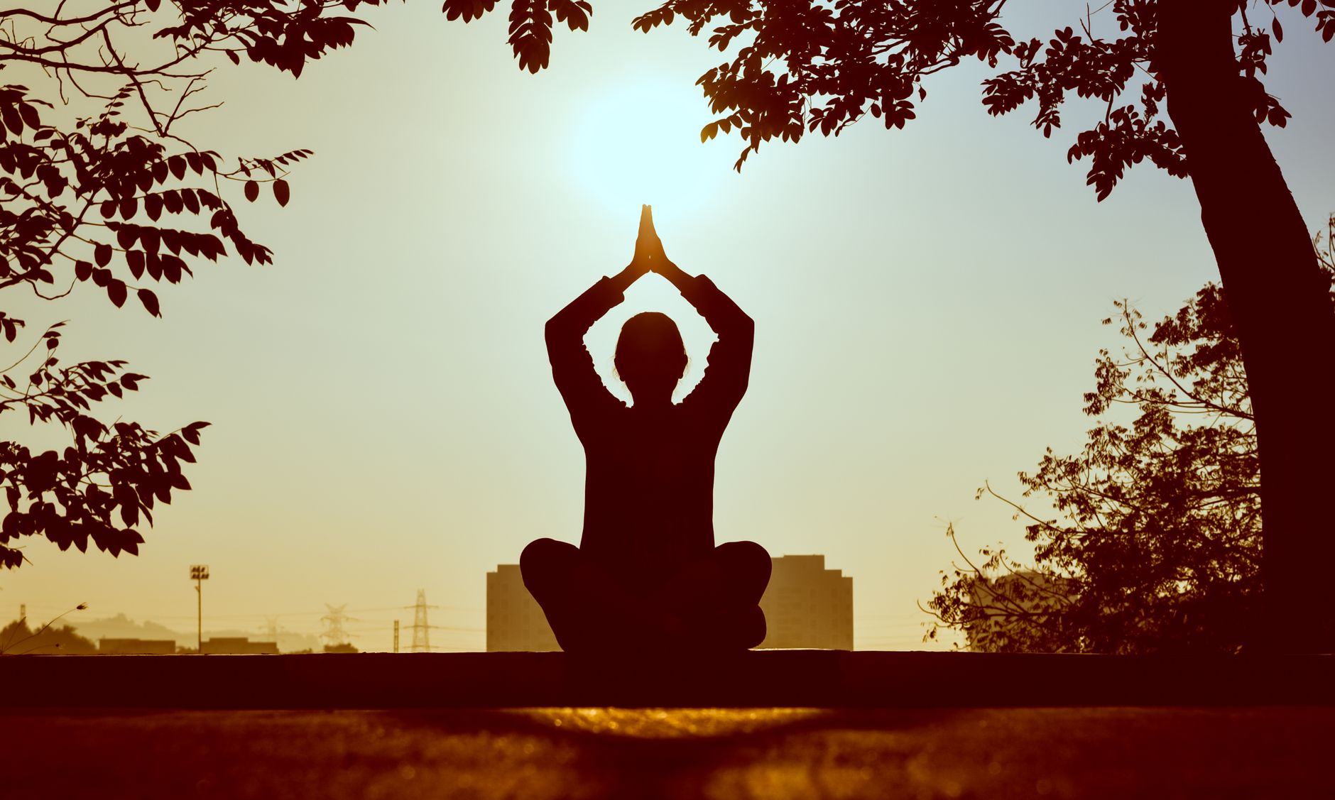 The Art of Mindful Living: Daily Practices to Melt Away Stress